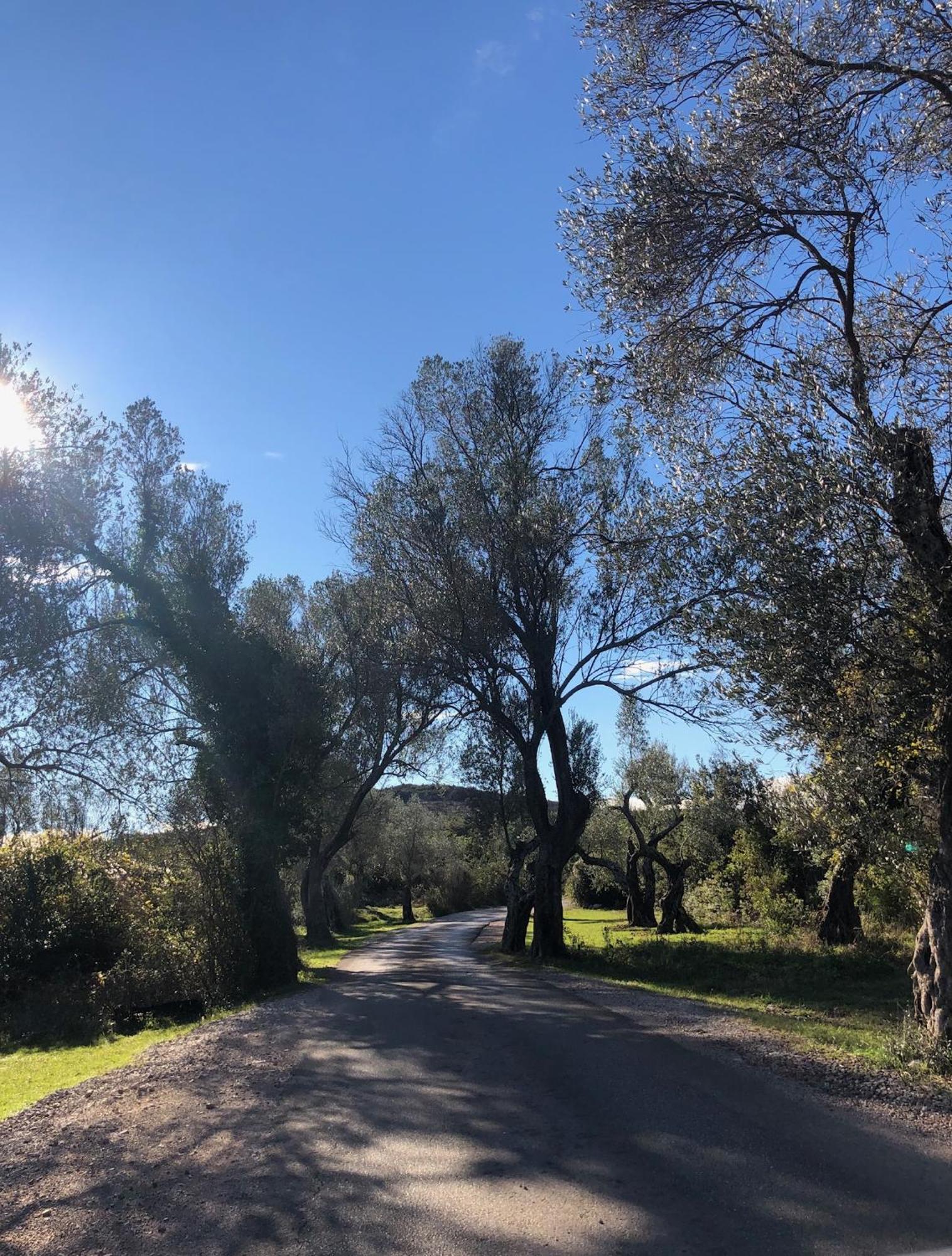 Village